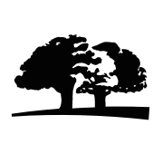 Origins deals and promo codes
